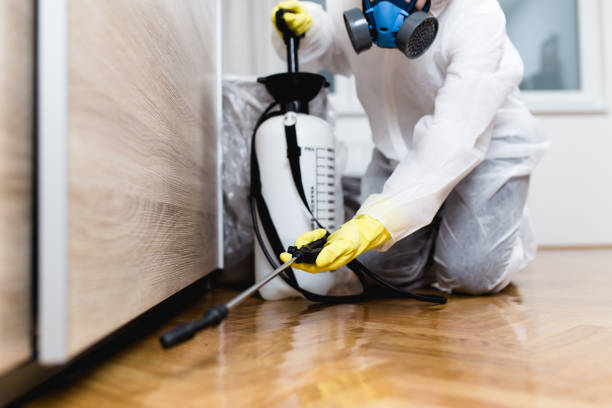Best Commercial Pest Control Services  in Glenview, IL