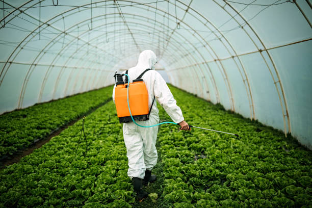 Best Pest Prevention Services  in Glenview, IL