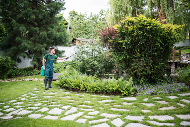 Best Termite Control Services  in Glenview, IL