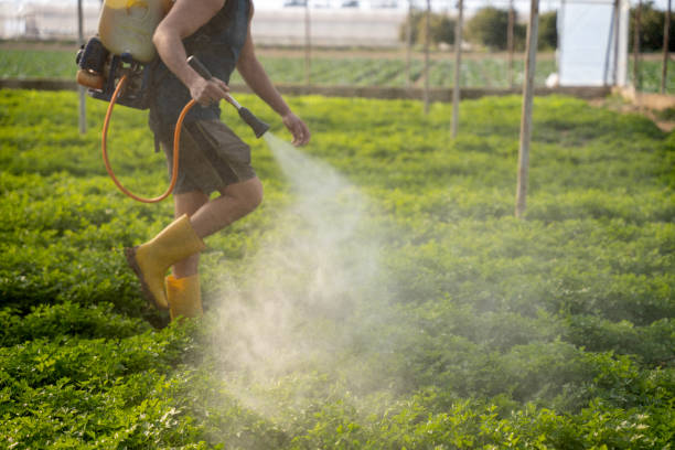 Best Affordable Pest Control Services  in Glenview, IL