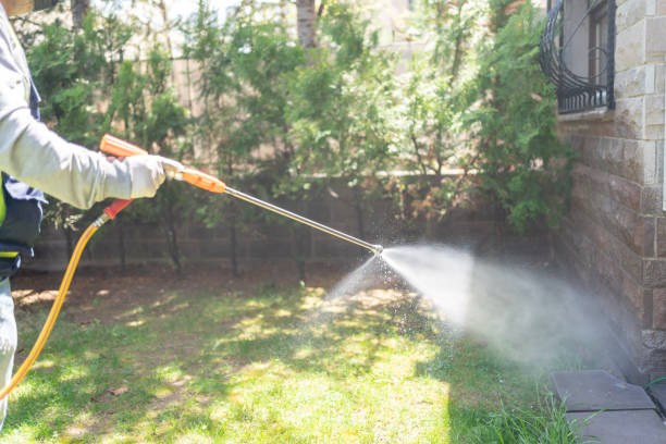 Professional Pest Control in Glenview, IL