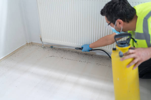 Best Pest Control Near Me  in Glenview, IL